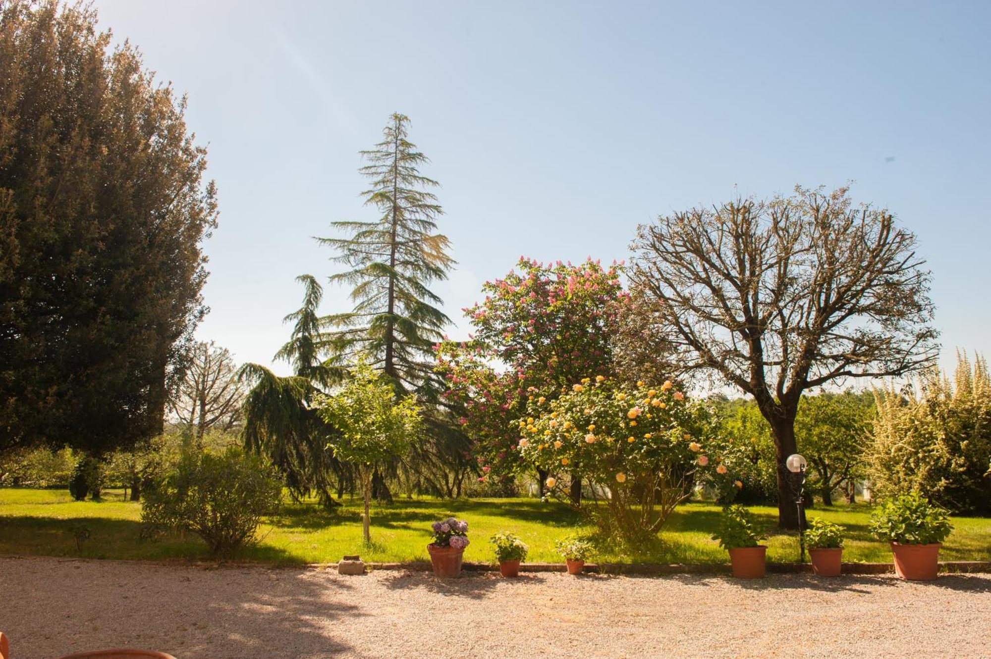 Agriturismo Villa La Morina Cortona Exteriör bild