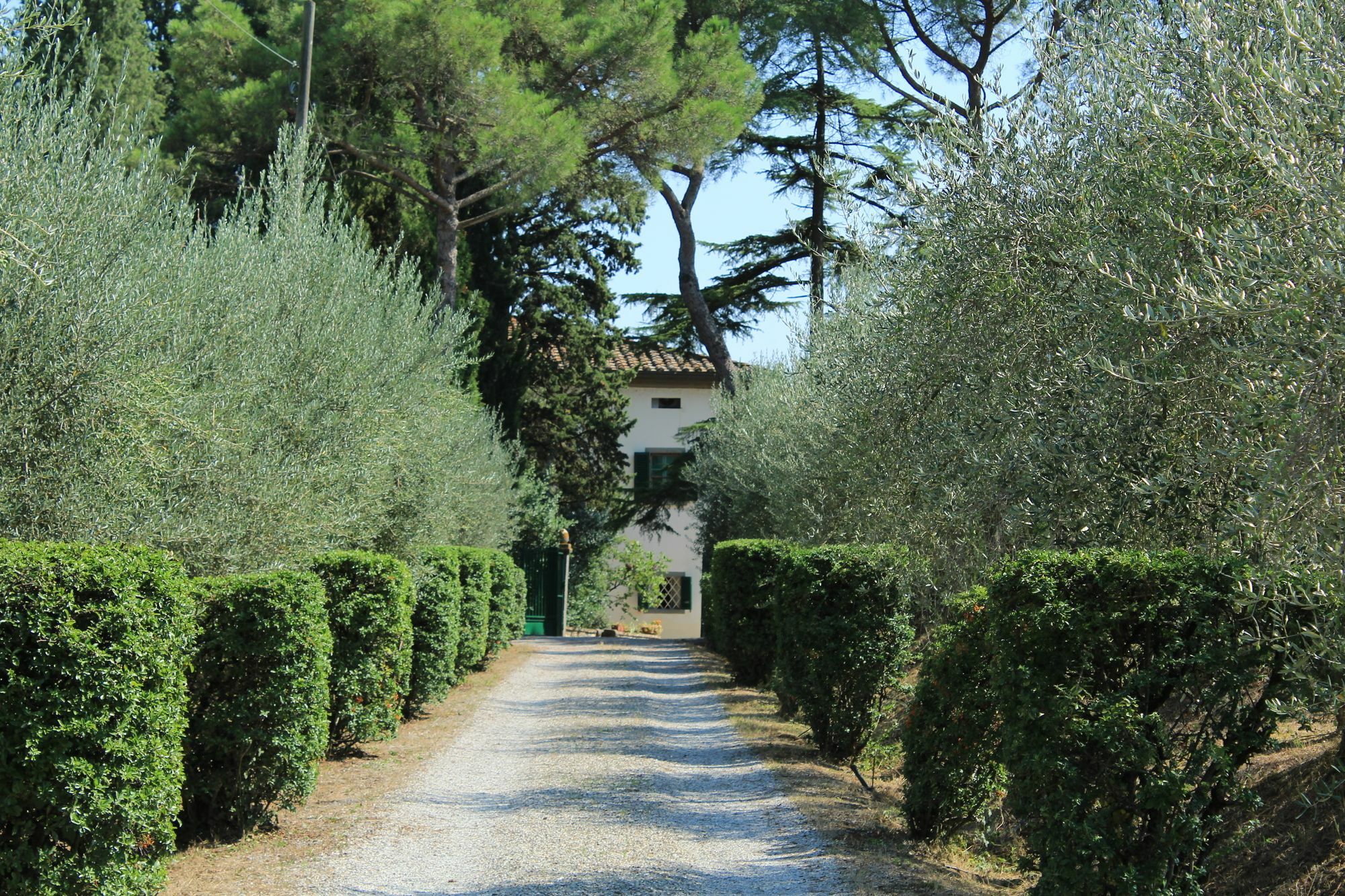 Agriturismo Villa La Morina Cortona Exteriör bild